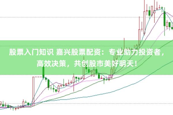 股票入门知识 嘉兴股票配资：专业助力投资者，高效决策，共创股市美好明天！