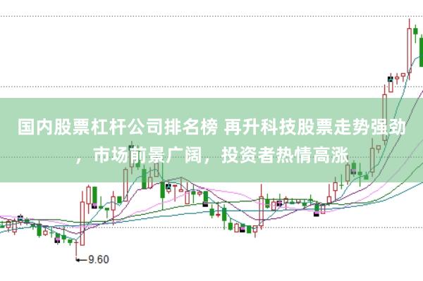 国内股票杠杆公司排名榜 再升科技股票走势强劲，市场前景广阔，投资者热情高涨