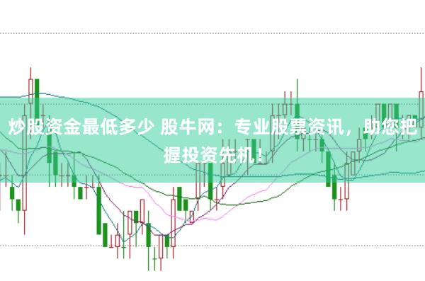 炒股资金最低多少 股牛网：专业股票资讯，助您把握投资先机！