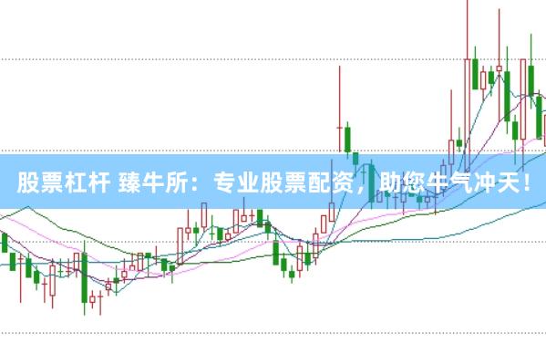 股票杠杆 臻牛所：专业股票配资，助您牛气冲天！