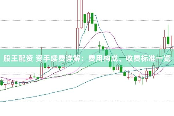 股王配资 资手续费详解：费用构成、收费标准一览