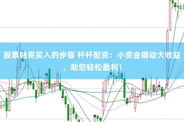 股票融资买入的步骤 杆杆配资：小资金撬动大收益，助您轻松盈利！