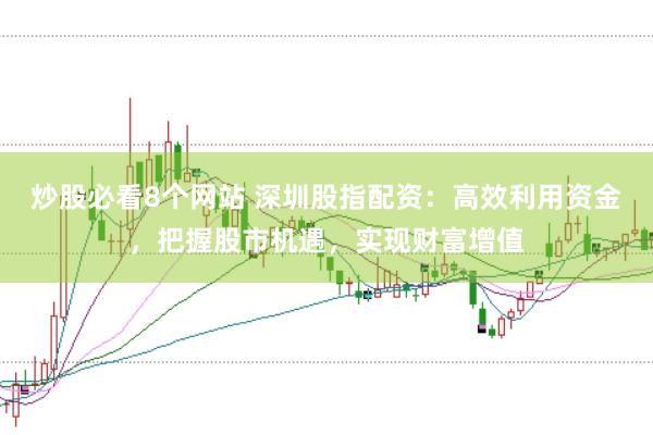 炒股必看8个网站 深圳股指配资：高效利用资金，把握股市机遇，实现财富增值