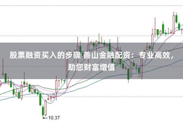 股票融资买入的步骤 善山金融配资：专业高效，助您财富增值