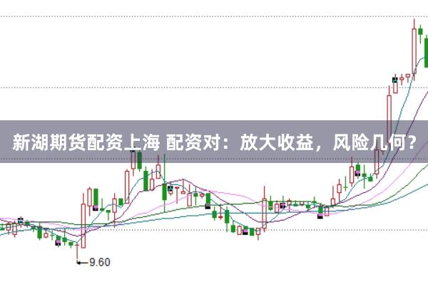 新湖期货配资上海 配资对：放大收益，风险几何？