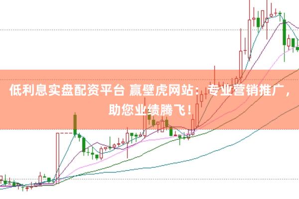 低利息实盘配资平台 赢壁虎网站：专业营销推广，助您业绩腾飞！