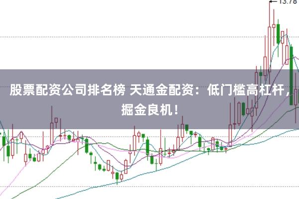 股票配资公司排名榜 天通金配资：低门槛高杠杆，掘金良机！