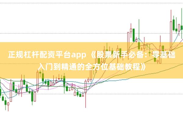 正规杠杆配资平台app 《股票新手必备：零基础入门到精通的全方位基础教程》