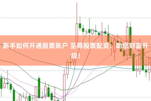 新手如何开通股票账户 至尊股票配资：助您财富升级！
