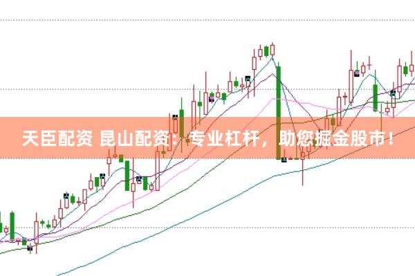 天臣配资 昆山配资：专业杠杆，助您掘金股市！