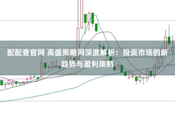 配配查官网 高盛策略网深度解析：投资市场的新趋势与盈利策略