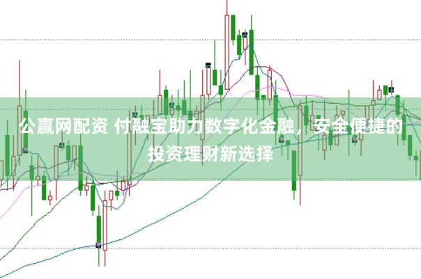 公赢网配资 付融宝助力数字化金融，安全便捷的投资理财新选择
