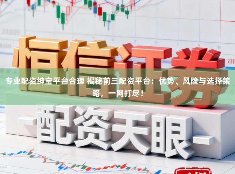 专业配资绅宝平台合理 揭秘前三配资平台：优势、风险与选择策略，一网打尽！