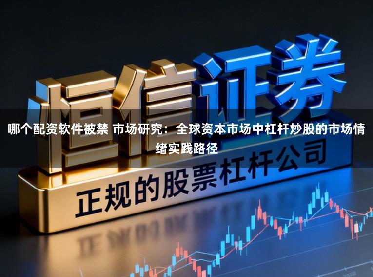 哪个配资软件被禁 市场研究：全球资本市场中杠杆炒股的市场情绪实践路径